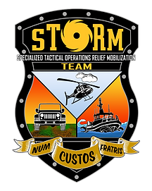 STORM SAR Logo